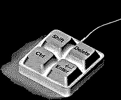 Development Services